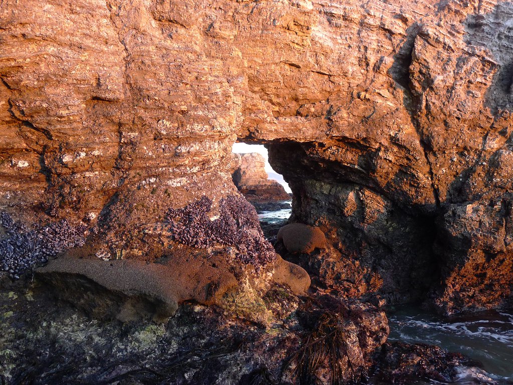 2014-01-17 PointReyesCamping 050